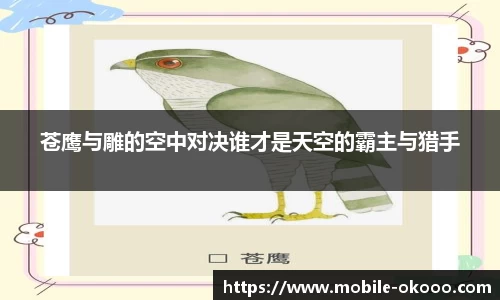 苍鹰与雕的空中对决谁才是天空的霸主与猎手